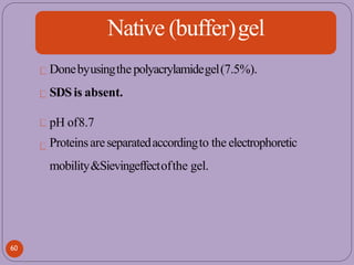 Native (buffer)gel
Donebyusingthepolyacrylamidegel(7.5%).
SDSis absent.
pH of8.7
Proteinsareseparatedaccordingto the electrophoretic
mobility&Sievingeffectofthe gel.
60
 