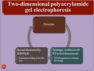Two-dimensional polyacrylamide
gel electrophoresis
Principle:
T
echniquecombineswith
IEFasfirstdimensional.
• Whichseparateaccordingto
the charge.
Seconddimensionby
SDS-PAGE
• Separateaccordingmolecular
size.
67
 