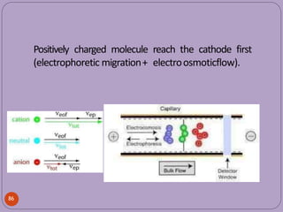 Positively charged molecule reach the cathode first
(electrophoretic migration+ electroosmoticflow).
86
 