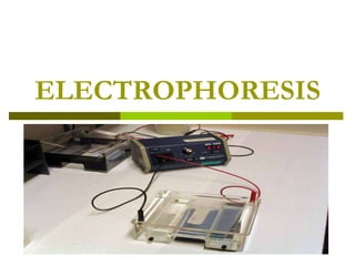 ELECTROPHORESIS
Images
 