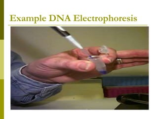 Example DNA Electrophoresis
 