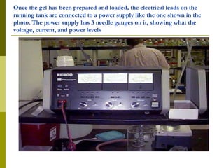 Once the gel has been prepared and loaded, the electrical leads on the
running tank are connected to a power supply like the one shown in the
photo. The power supply has 3 needle gauges on it, showing what the
voltage, current, and power levels
 