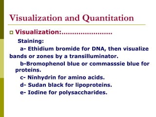 Visualization and Quantitation
 Visualization:……………………
Staining:
a- Ethidium bromide for DNA, then visualize
bands or zones by a transilluminator.
b-Bromophenol blue or commasssie blue for
proteins.
c- Ninhydrin for amino acids.
d- Sudan black for lipoproteins.
e- Iodine for polysaccharides.
 