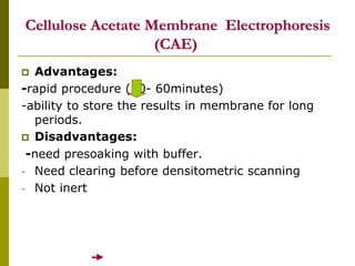 Cellulose Acetate Membrane Electrophoresis
(CAE)
 Advantages:
-rapid procedure (20- 60minutes)
-ability to store the results in membrane for long
periods.
 Disadvantages:
-need presoaking with buffer.
- Need clearing before densitometric scanning
- Not inert
 