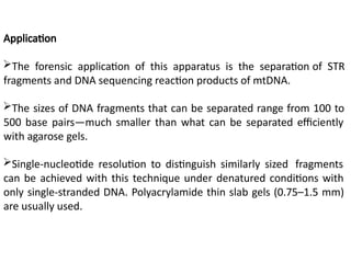 Electrophoresis with forensics with forensic identification | PPTX