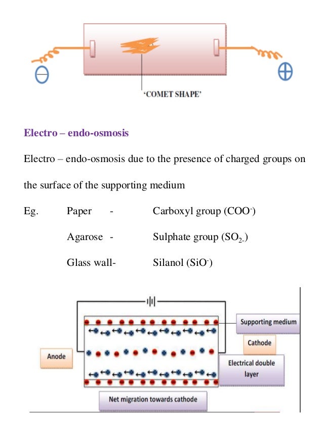 Electrophoresis and factors affecting electrophoresis