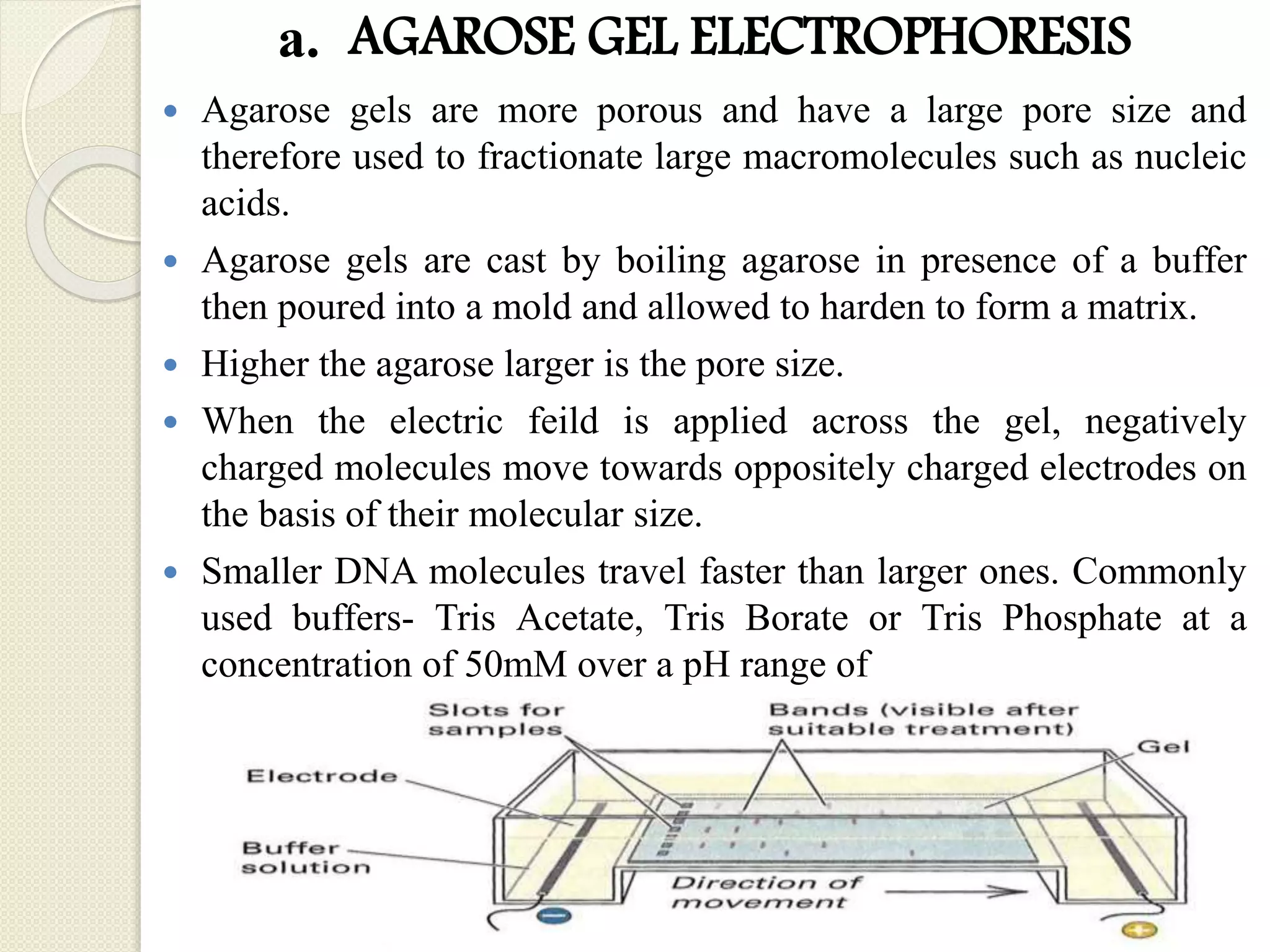 ELECTROPHORESIS AND ITS FORENSIC APPLICATIONS.pptx