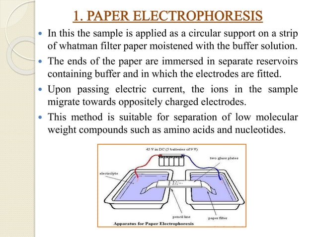 ELECTROPHORESIS AND ITS FORENSIC APPLICATIONS.pptx