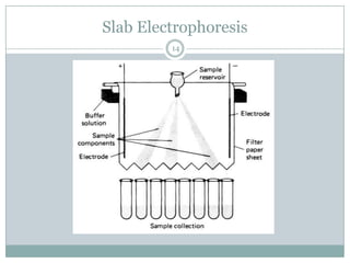 Slab Electrophoresis
         14
 