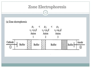 Zone Electrophoresis
        27
 