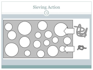 Sieving Action
      29
 