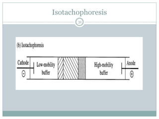 Isotachophoresis
       31
 