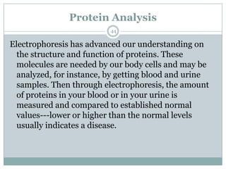 Protein Analysis
                          44

Electrophoresis has advanced our understanding on
  the structure and function of proteins. These
  molecules are needed by our body cells and may be
  analyzed, for instance, by getting blood and urine
  samples. Then through electrophoresis, the amount
  of proteins in your blood or in your urine is
  measured and compared to established normal
  values---lower or higher than the normal levels
  usually indicates a disease.
 