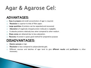 ADVANTAGES:
 Easy to prepare and small concentration of agar is required.
 Resolution is superior to that of filter paper.
 Large quantities of proteins can be separated and recovered.
 Adsorption of negatively charged protein molecule is negligible.
 It adsorbs proteins relatively less when compared to other medium.
 Sharp zones are obtained due to less adsorption.
 Recovery of protein is good, good method for preparative purpose
DISADVANTAGES:
 Electro osmosis is high.
 Resolution is less compared to polyacrylamide gels.
 Different sources and batches of agar tend to give different results and purification is often
necessary.
 