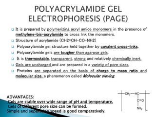  It is prepared by polymerizing acryl amide monomers in the presence of
methylene-bis-acrylamide to cross link the monomers.
 Structure of acrylamide (CH2=CH-CO-NH2)
 Polyacrylamide gel structure held together by covalent cross-links.
 Polyacrylamide gels are tougher than agarose gels.
 It is thermostable, transparent, strong and relatively chemically inert.
 Gels are uncharged and are prepared in a variety of pore sizes.
 Proteins are separated on the basis of charge to mass ratio and
molecular size, a phenomenon called Molecular sieving.
ADVANTAGES:
Gels are stable over wide range of pH and temperature.
Gels of different pore size can be formed.
Simple and separation speed is good comparatively.
 