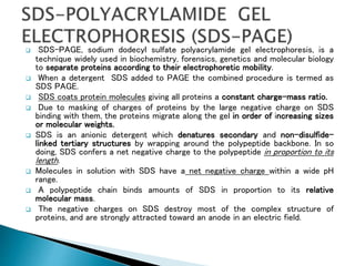  SDS-PAGE, sodium dodecyl sulfate polyacrylamide gel electrophoresis, is a
technique widely used in biochemistry, forensics, genetics and molecular biology
to separate proteins according to their electrophoretic mobility.
 When a detergent SDS added to PAGE the combined procedure is termed as
SDS PAGE.
 SDS coats protein molecules giving all proteins a constant charge-mass ratio.
 Due to masking of charges of proteins by the large negative charge on SDS
binding with them, the proteins migrate along the gel in order of increasing sizes
or molecular weights.
 SDS is an anionic detergent which denatures secondary and non–disulfide–
linked tertiary structures by wrapping around the polypeptide backbone. In so
doing, SDS confers a net negative charge to the polypeptide in proportion to its
length.
 Molecules in solution with SDS have a net negative charge within a wide pH
range.
 A polypeptide chain binds amounts of SDS in proportion to its relative
molecular mass.
 The negative charges on SDS destroy most of the complex structure of
proteins, and are strongly attracted toward an anode in an electric field.
 
