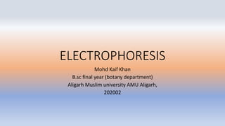 ELECTROPHORESIS
Mohd Kaif Khan
B.sc final year (botany department)
Aligarh Muslim university AMU Aligarh,
202002
 