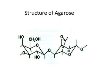 Structure of Agarose 
 