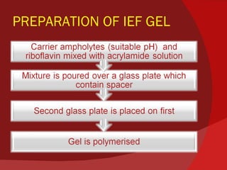 PREPARATION OF IEF GEL 