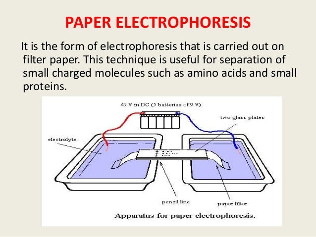 Paperclips government supplies image