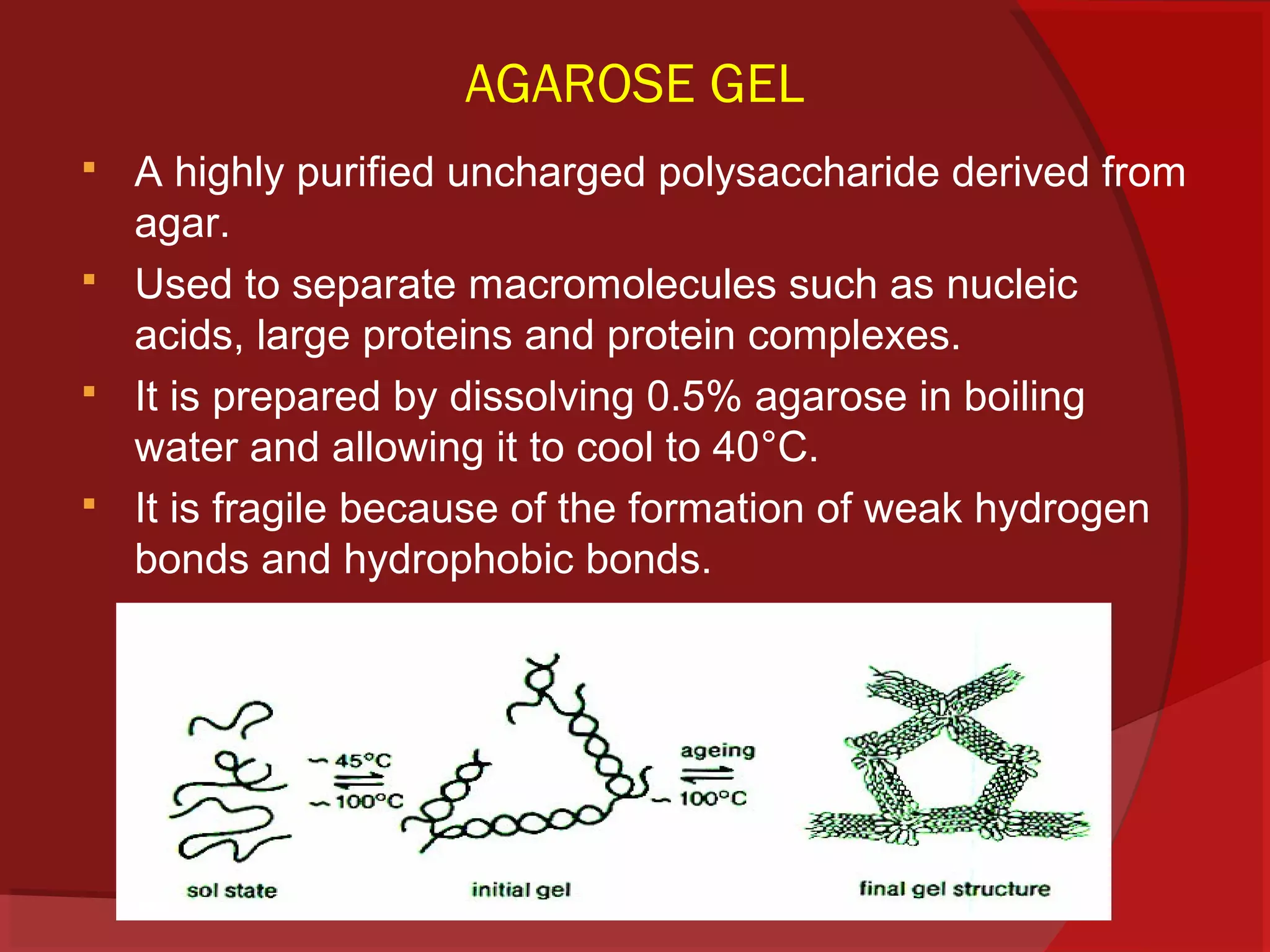 AGAROSE GEL





A highly purified uncharged polysaccharide derived from
agar.
Used to separate macromolecules such as nucleic
acids, large proteins and protein complexes.
It is prepared by dissolving 0.5% agarose in boiling
water and allowing it to cool to 40°C.
It is fragile because of the formation of weak hydrogen
bonds and hydrophobic bonds.

 