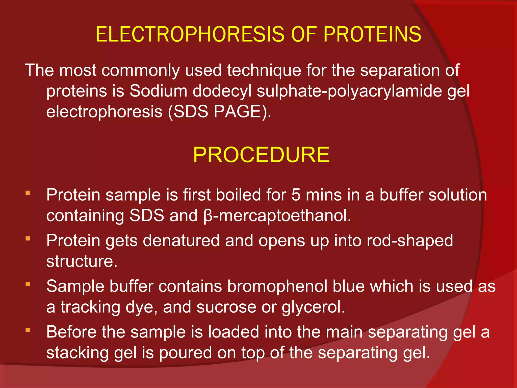 ELECTROPHORESIS OF PROTEINS
The most commonly used technique for the separation of
proteins is Sodium dodecyl sulphate-polyacrylamide gel
electrophoresis (SDS PAGE).

PROCEDURE





Protein sample is first boiled for 5 mins in a buffer solution
containing SDS and β-mercaptoethanol.
Protein gets denatured and opens up into rod-shaped
structure.
Sample buffer contains bromophenol blue which is used as
a tracking dye, and sucrose or glycerol.
Before the sample is loaded into the main separating gel a
stacking gel is poured on top of the separating gel.

 