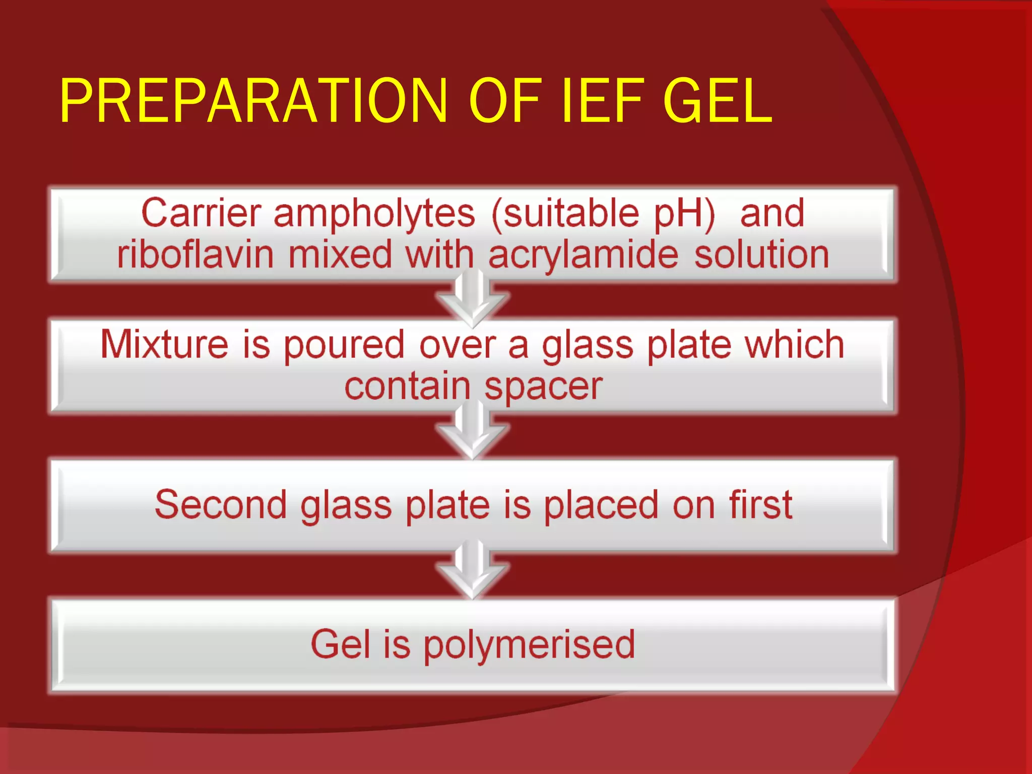 PREPARATION OF IEF GEL

 