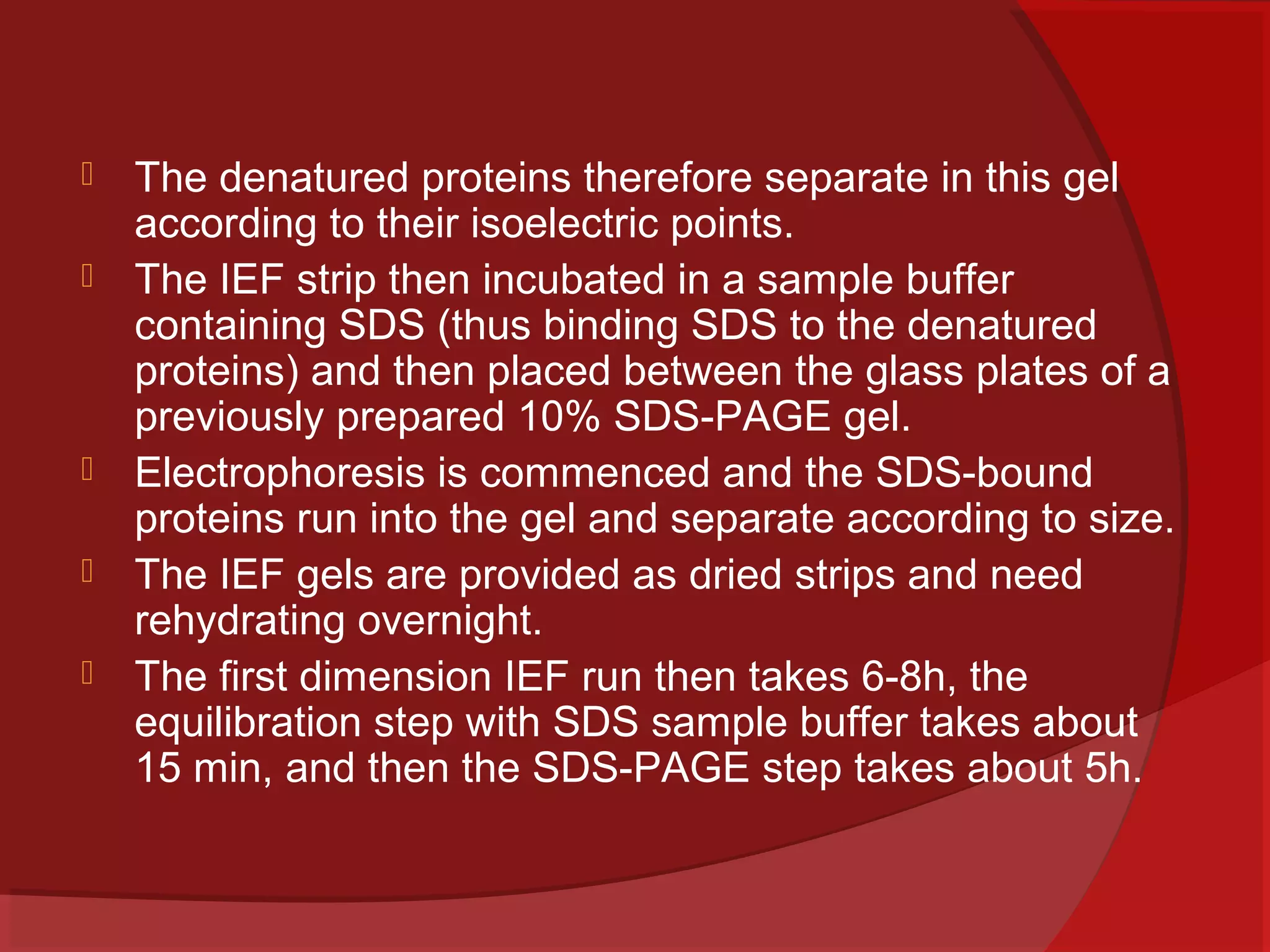 






The denatured proteins therefore separate in this gel
according to their isoelectric points.
The IEF strip then incubated in a sample buffer
containing SDS (thus binding SDS to the denatured
proteins) and then placed between the glass plates of a
previously prepared 10% SDS-PAGE gel.
Electrophoresis is commenced and the SDS-bound
proteins run into the gel and separate according to size.
The IEF gels are provided as dried strips and need
rehydrating overnight.
The first dimension IEF run then takes 6-8h, the
equilibration step with SDS sample buffer takes about
15 min, and then the SDS-PAGE step takes about 5h.

 