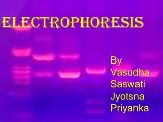 ELECTROPHORESIS
By
Vasudha
Saswati
Jyotsna
Priyanka

 