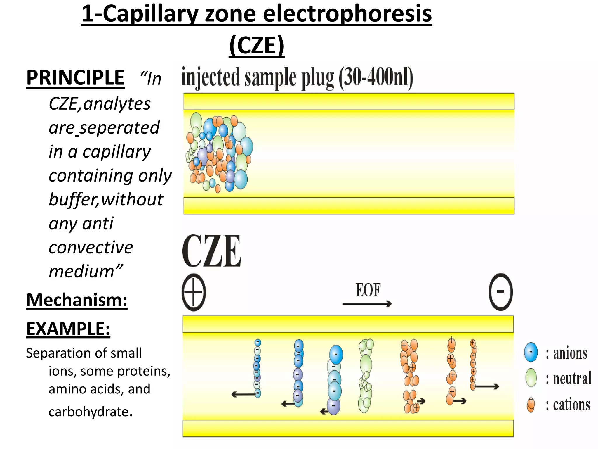 Electrophoresis , principles and application | PDF