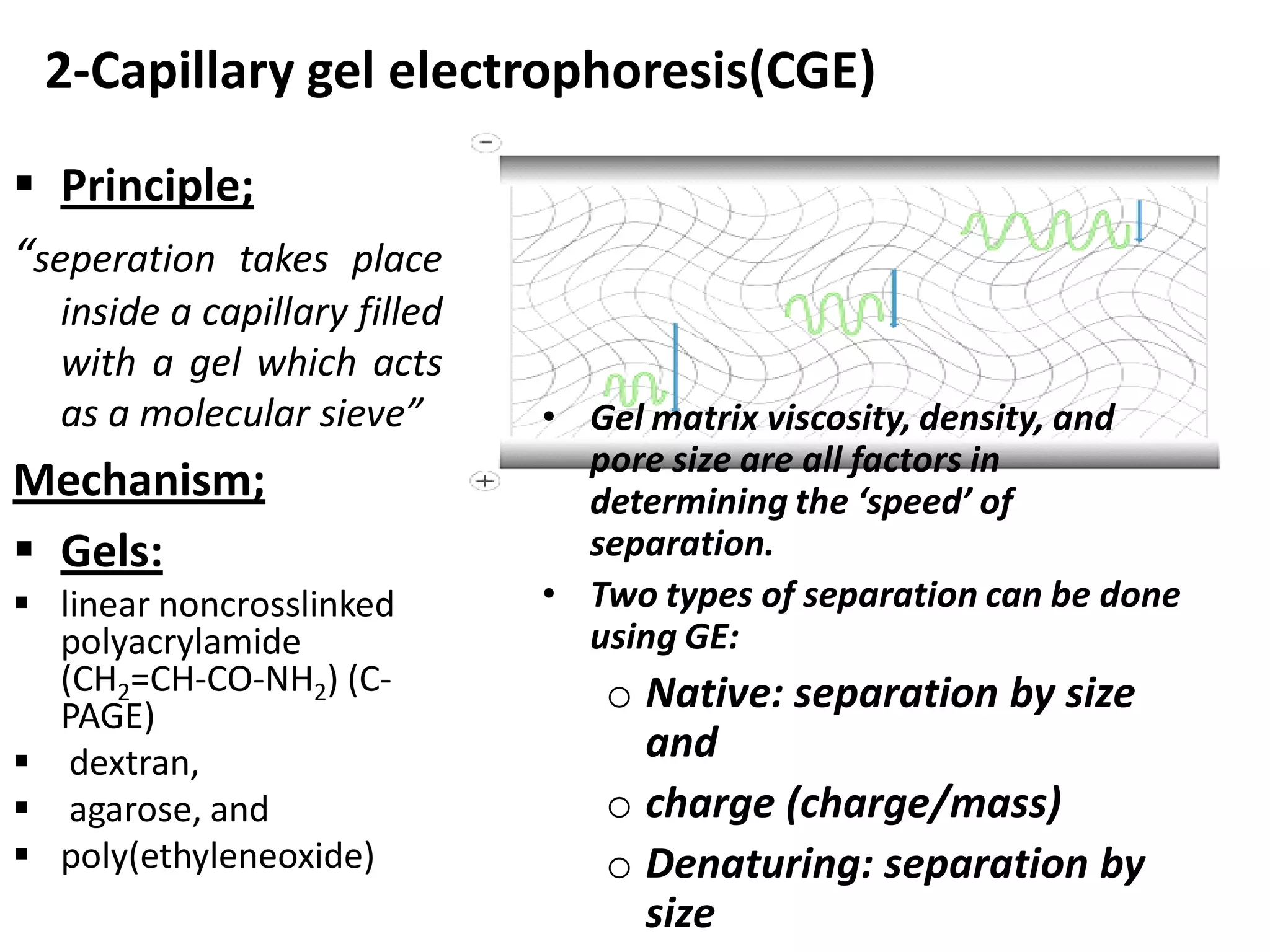 Cge Electropherogram Electrophoresis , principles and application | PDF