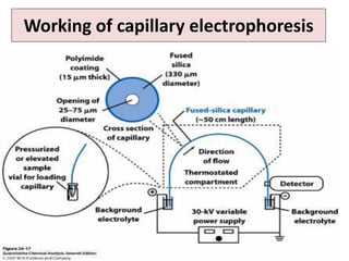Working of capillary electrophoresis
 
