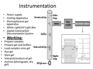 Instrumentation
• Power supply
• Cooling Apparatus
• Electrophoresis gel
apparatus
• White Light/UV Light Box
• Digital Camera/Gel
Documentation System
• Working:
• Prepare samples
• Prepare gel and buffers
• Load samples onto gel
• Run gel
• Stain gel
• Interpret/analysis of gel
• Archive (photograph, dry
gel)
 