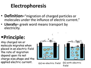 Principle:
Any charged ion or
molecule migrates when
placed in an electric field
the rate of migration
depend upon its net
charge size,shape and the
applied electric current.
 Mechanism:
• Definition=“migration of charged particles or
molecules under the influnce of electric current.”
• Literally= greek word means transport by
electricity.
Electrophoresis
 
