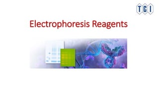 Electrophoresis Reagents
 