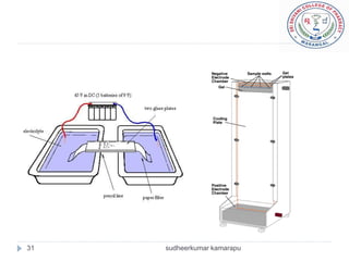 31   sudheerkumar kamarapu
 