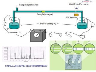 9   sudheerkumar kamarapu
 