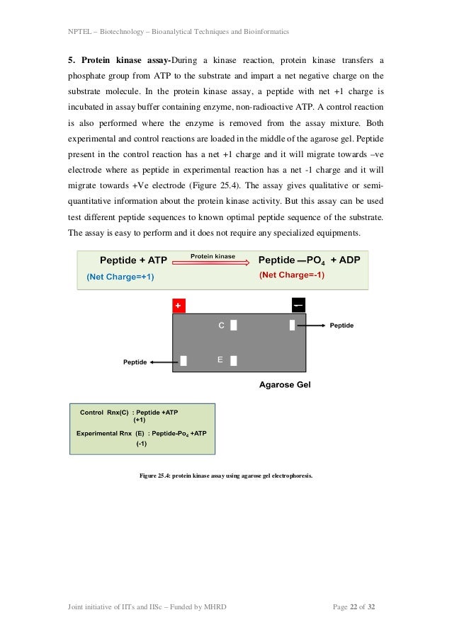 Electrophoresis technique