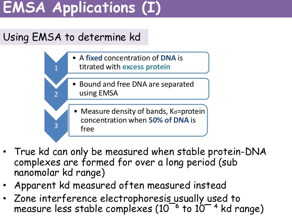 ''Electrophoretic Mobility Shift Assay'' by KATE, Wisdom Deebeke