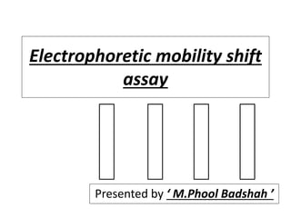 Electrophoretic mobility shift
assay
Presented by ‘ M.Phool Badshah ’
 