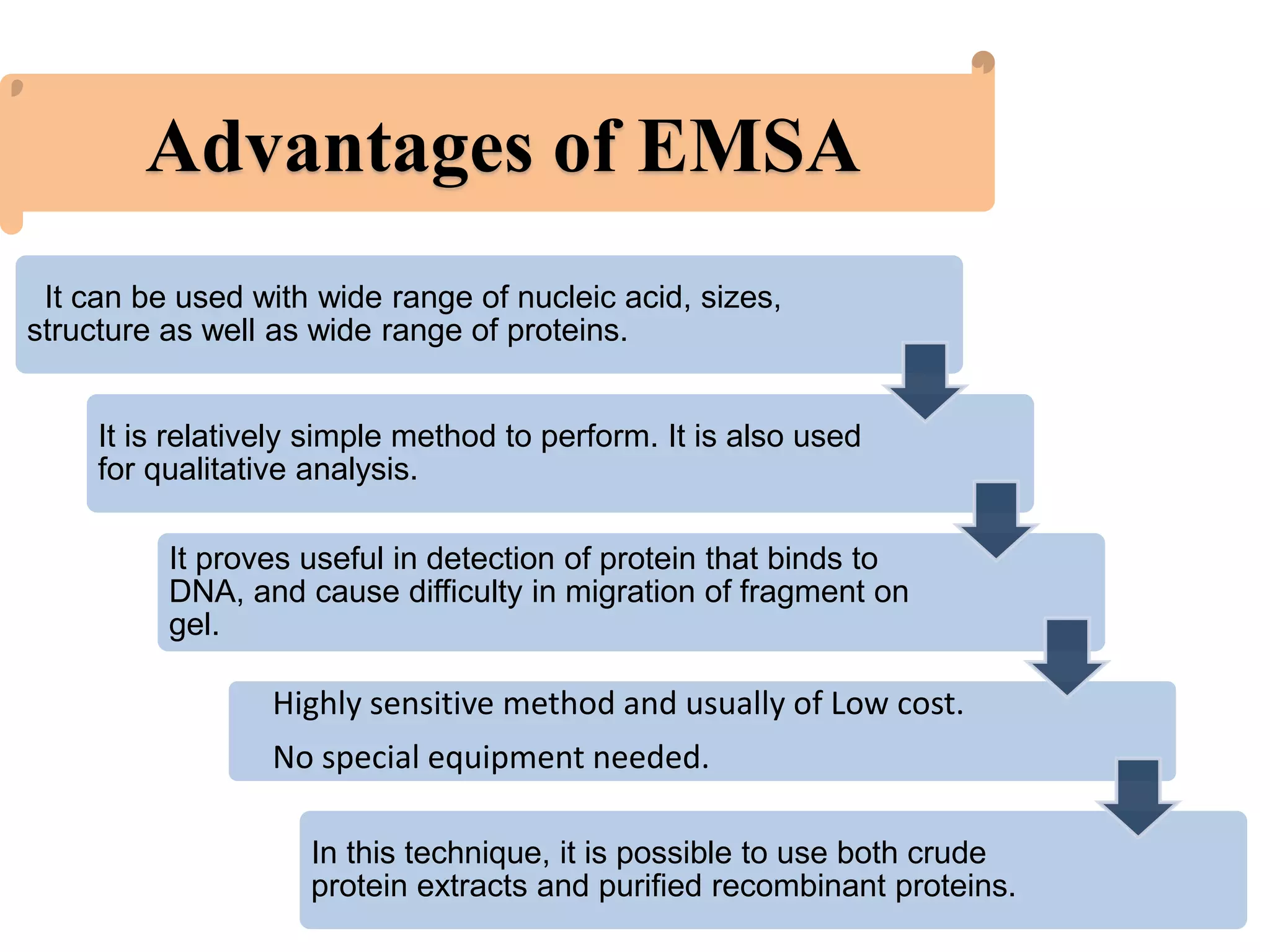 Electrophoretic mobility shift assay | PPTX