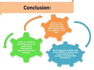 Conclusion:
Electrophoretic mobility shift
assay (EMSA) is most widely
used method for the
detection of protein-DNA
interactions.
Used for various
purposes such as
quantifying
interactions
between DNA and
proteins
Works on the
observation that
protein-bounded
DNA migrate slowly
as compared to free
DNA
 