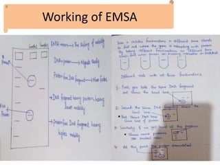 Working of EMSA
 