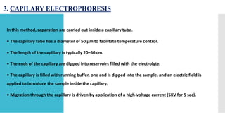 electrophorosis (1).pptx