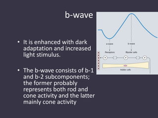 b-wave
• It is enhanced with dark
adaptation and increased
light stimulus.
• The b-wave consists of b-1
and b-2 subcomponents;
the former probably
represents both rod and
cone activity and the latter
mainly cone activity
 