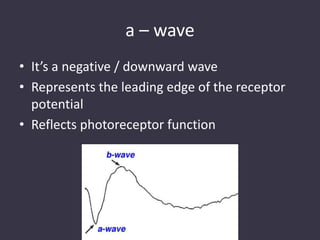 a – wave
• It’s a negative / downward wave
• Represents the leading edge of the receptor
potential
• Reflects photoreceptor function
 