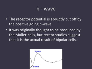 b - wave
• The receptor potential is abruptly cut off by
the positive going b-wave.
• It was originally thought to be produced by
the Muller-cells, but recent studies suggest
that it is the actual result of bipolar cells.
 