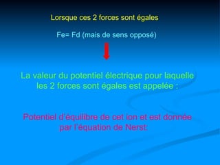 Lorsque ces 2 forces sont égales

         Fe= Fd (mais de sens opposé)




La valeur du potentiel électrique pour laquelle
    les 2 forces sont égales est appelée :


Potentiel d’équilibre de cet ion et est donnée
          par l’équation de Nerst:
 