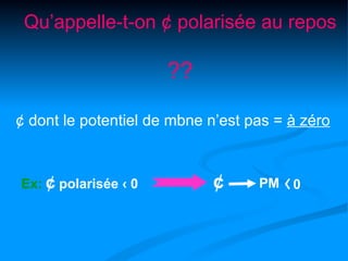 Qu’appelle-t-on ¢ polarisée au repos

                      ??

¢ dont le potentiel de mbne n’est pas = à zéro



Ex: ¢ polarisée ‹ 0         ¢      PM   ‹0
 