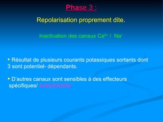 Phase 3 :
            Repolarisation proprement dite.

             Inactivation des canaux Ca²+ / Na+



• Résultat de plusieurs courants potassiques sortants dont
3 sont potentiel- dépendants.

• D’autres canaux sont sensibles à des effecteurs
spécifiques/ Acetylcholine.
 